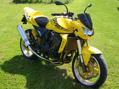 Z1000Biest.jpg