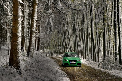 AudiRS3green.jpg