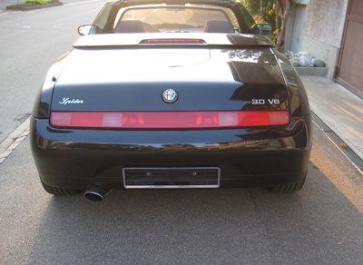 spider2 003.jpg