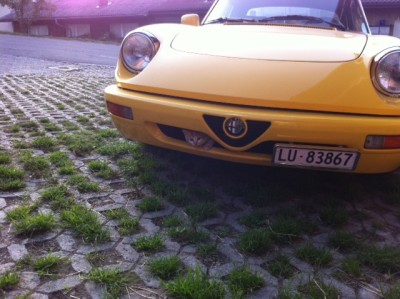 Büsi.JPG (139.98 KiB) 9006 mal betrachtet Büsi.JPG