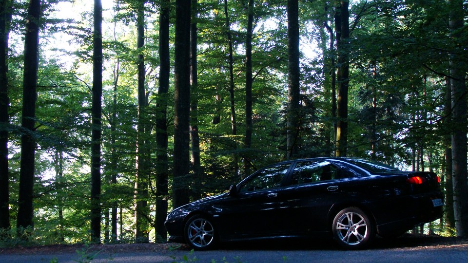 DSC01233 [50%].JPG